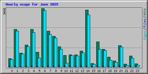 Hourly usage for June 2025